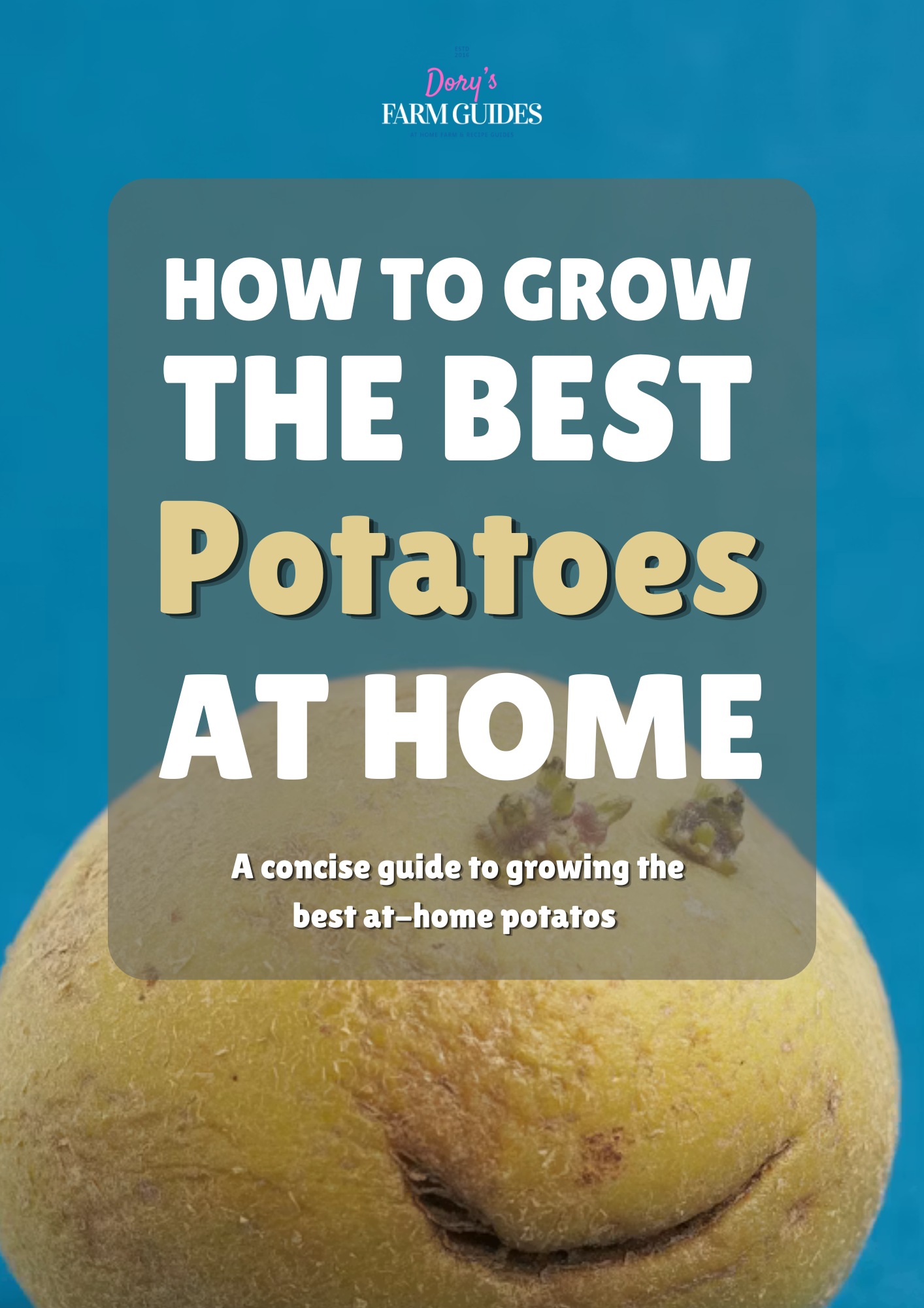 How To Grow The BEST Potatoes At Home
