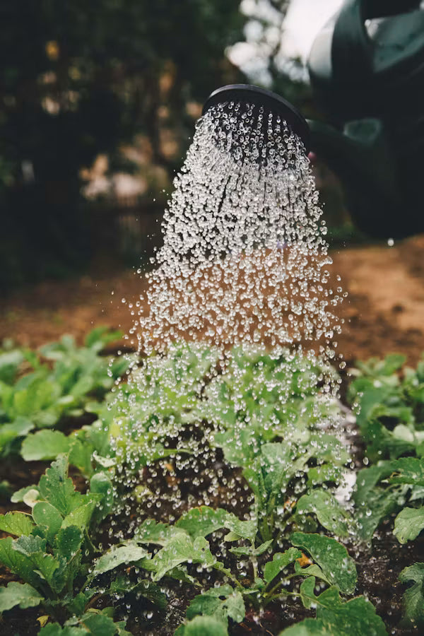At-Home Garden Guides