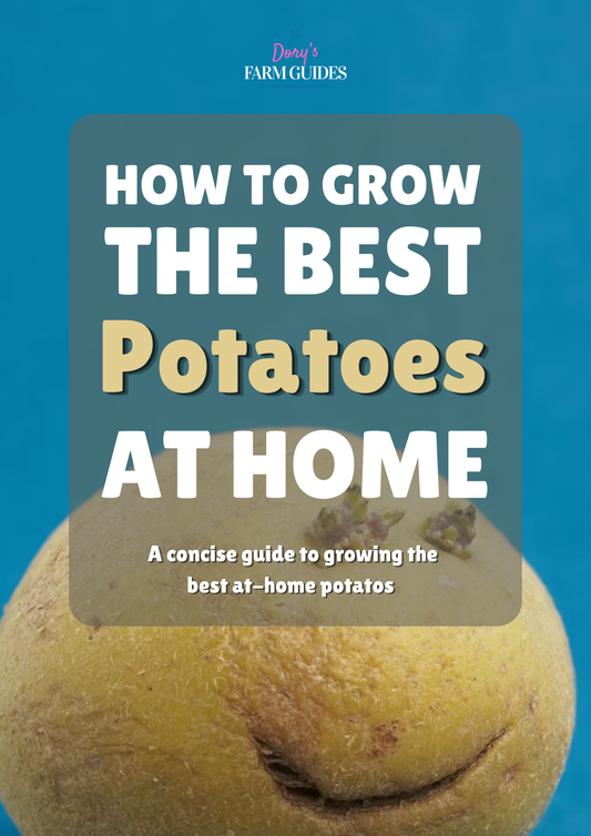 How To Grow The BEST Potatoes At Home